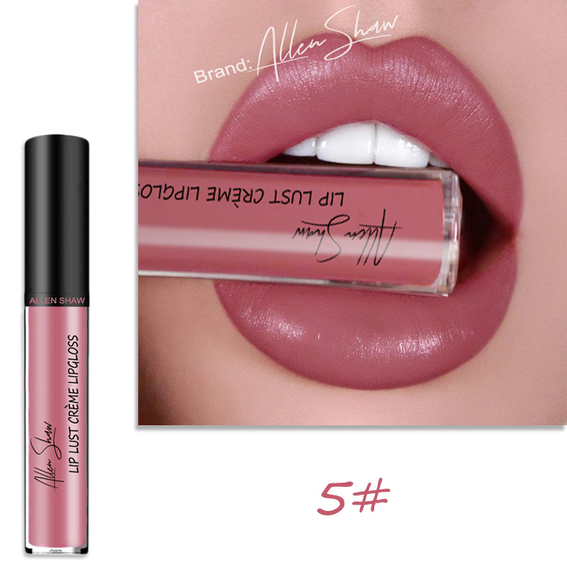 Lip Glaze Cream Lip Gloss European and American Cosmetics Beauty Makeup