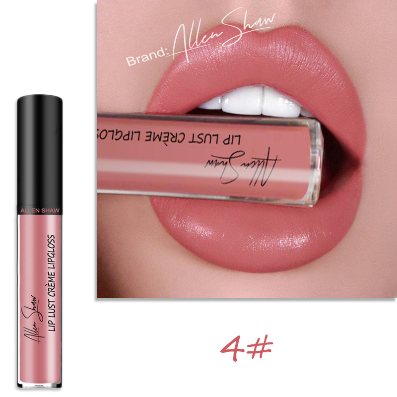 Lip Glaze Cream Lip Gloss European and American Cosmetics Beauty Makeup