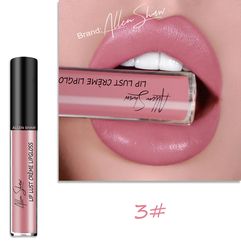 Lip Glaze Cream Lip Gloss European and American Cosmetics Beauty Makeup