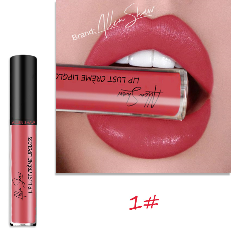 Lip Glaze Cream Lip Gloss European and American Cosmetics Beauty Makeup