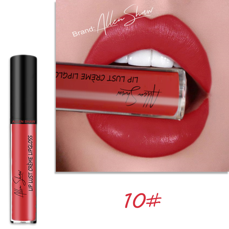 Lip Glaze Cream Lip Gloss European and American Cosmetics Beauty Makeup