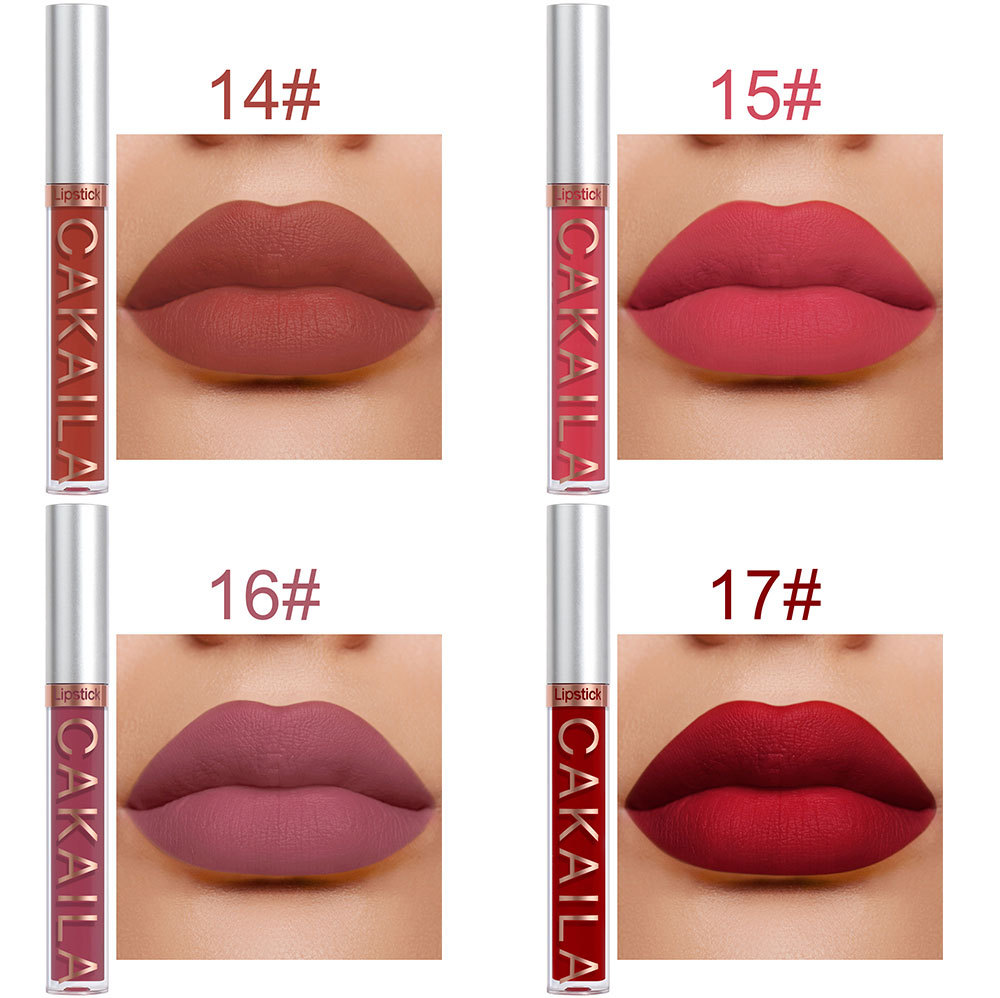 10Pcs set CAKAILA 9 Matte lip gloss and 1 Lip liner Box Lipstick nonstick cup muti-colors