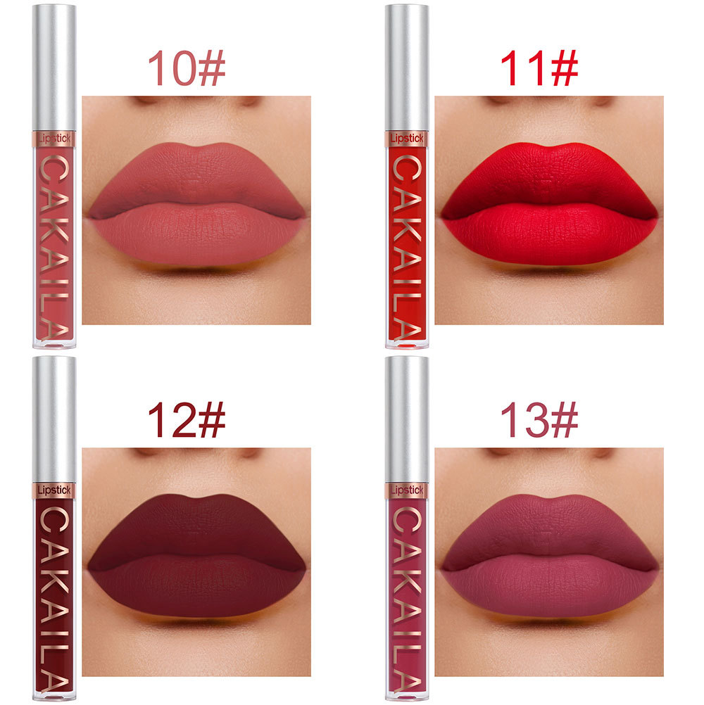 10Pcs set CAKAILA 9 Matte lip gloss and 1 Lip liner Box Lipstick nonstick cup muti-colors