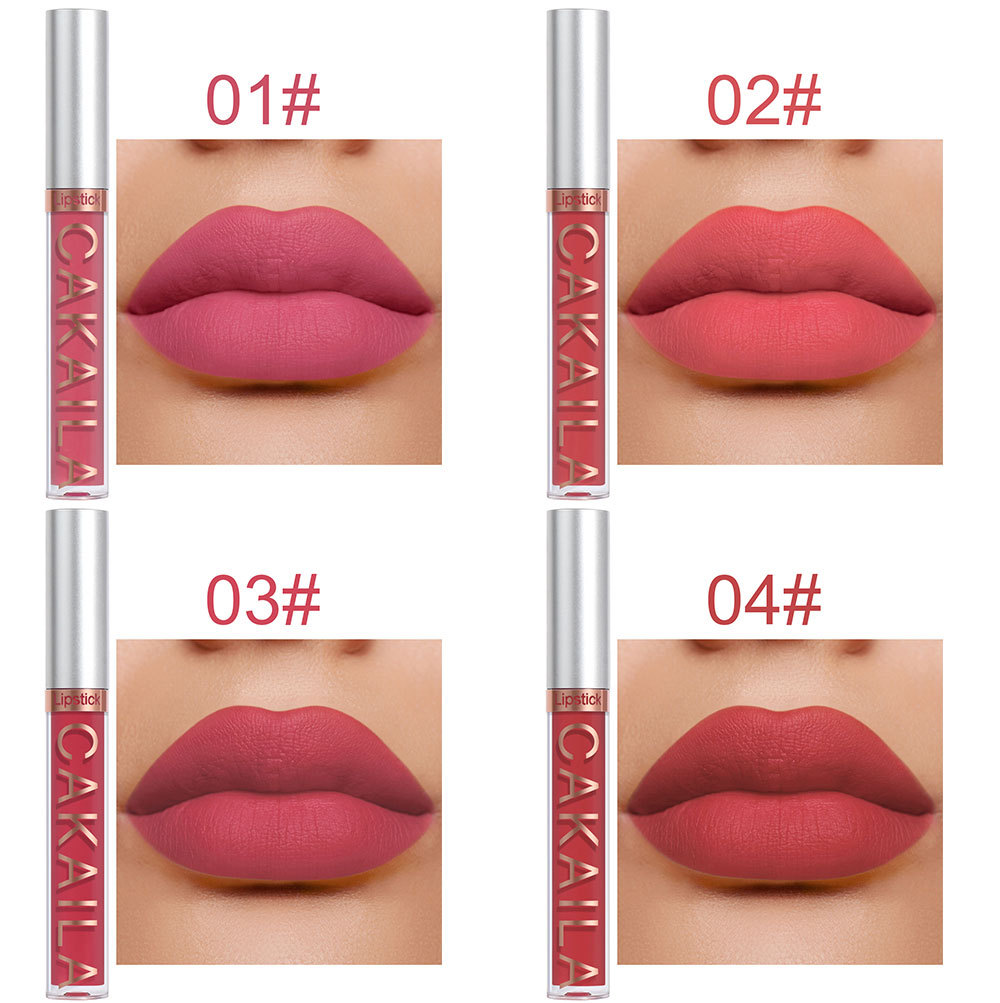 10Pcs set CAKAILA 9 Matte lip gloss and 1 Lip liner Box Lipstick nonstick cup muti-colors