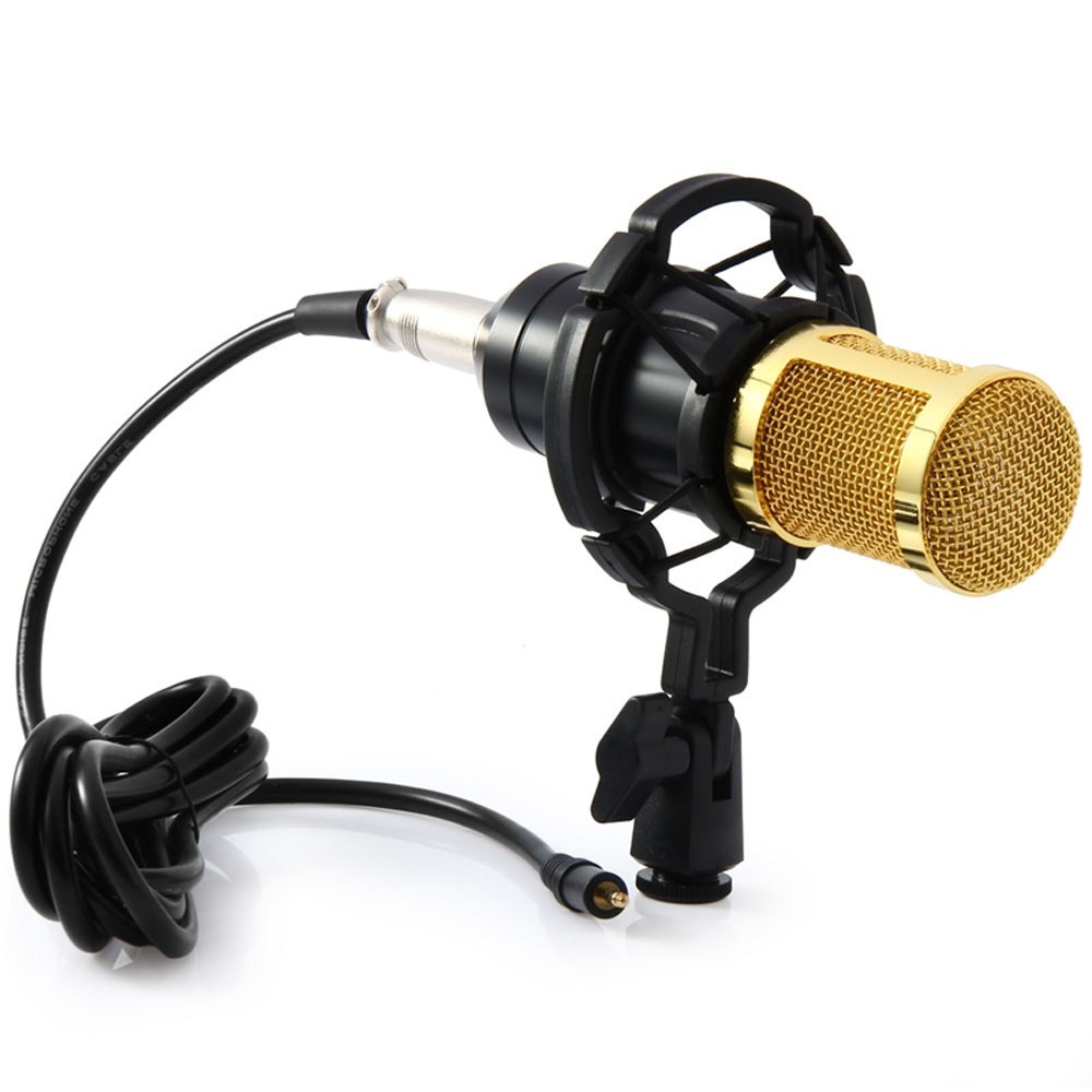 Condenser Microphone BM 800 Professional Kit With Shock Mount