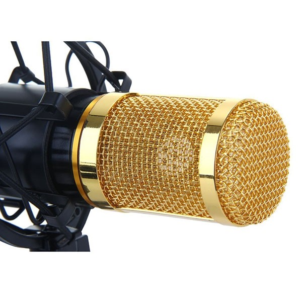 BM-800 Condenser Sound Recording Microphone and Plastic Shock Mount for Radio Broadcasting Studio Voice Recording