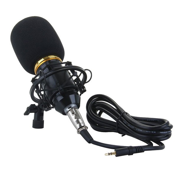 BM-800 Condenser Sound Recording Microphone and Plastic Shock Mount for Radio Broadcasting Studio Voice Recording