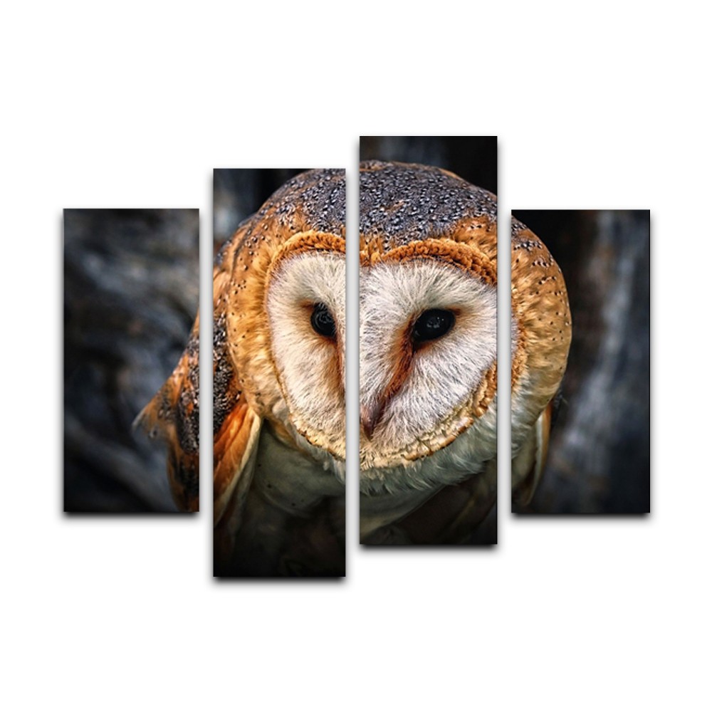 Yhhp 4 Panels Animal Owl Picture Print Modern Wall Art On Canvas Unframed