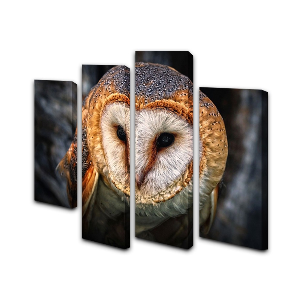 Yhhp 4 Panels Animal Owl Picture Print Modern Wall Art On Canvas Unframed