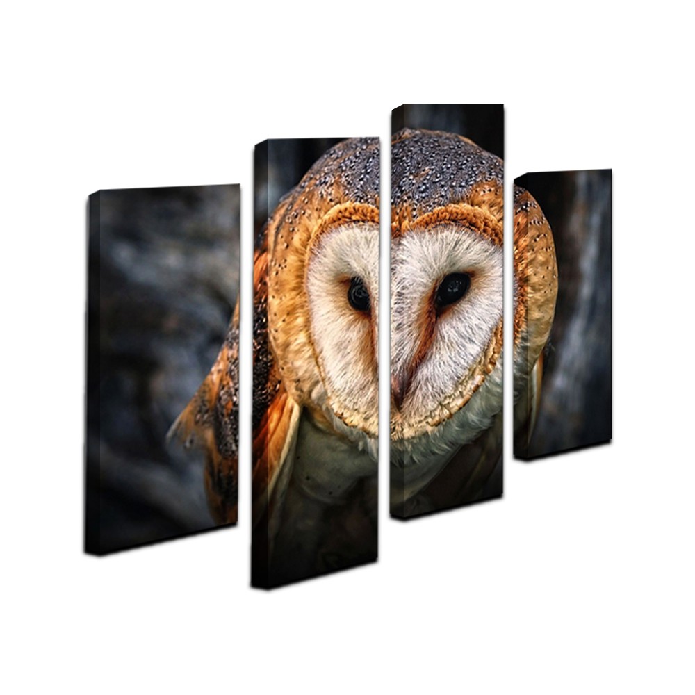 Yhhp 4 Panels Animal Owl Picture Print Modern Wall Art On Canvas Unframed