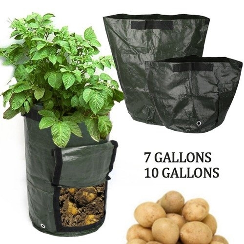 Newcomdigi Home Gardening PE Planting Bag Vegetable Potato Tomato