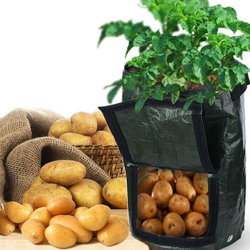 Newcomdigi Home Gardening PE Planting Bag Vegetable Potato Tomato