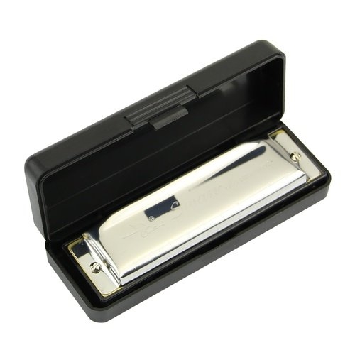 10 Holes Swan Harmonica Diatonic Blues Harp C Keys Mouth Organ for Blues