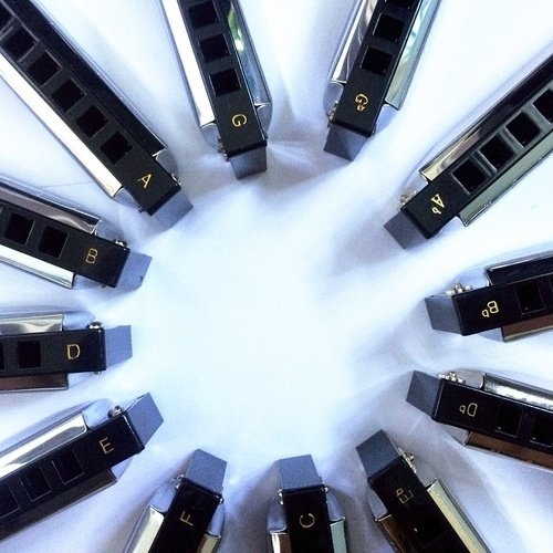 10 Holes Swan Harmonica Diatonic Blues Harp C Keys Mouth Organ for Blues