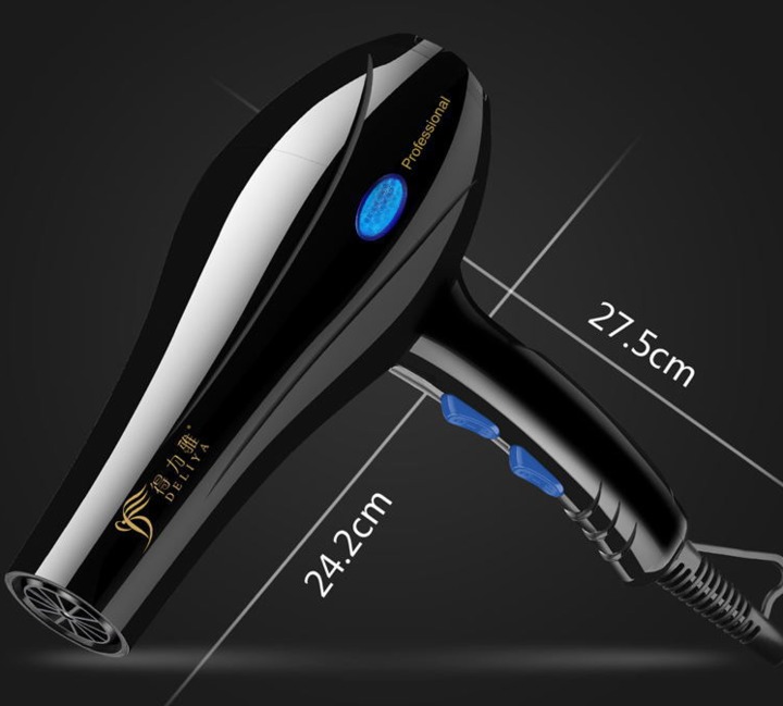 2000W Hair Dryer Fast Powerful Low Noise Hair Blower Electric Hairdryer Styling Tool Hair Care