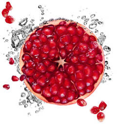 Garnier Skin Active Hydrabomb Pomegranate Tissue Face Mask