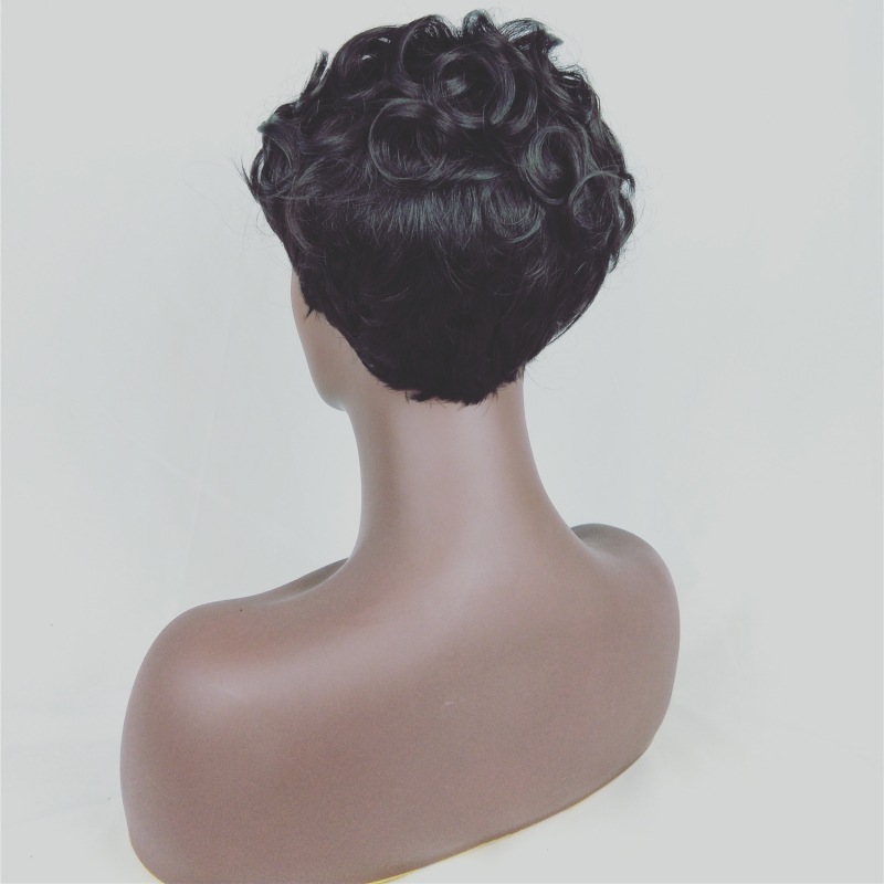 Crazy Price Promotion Synthetic Wigs Short Hair Wigs Women Wigs Hair Wave