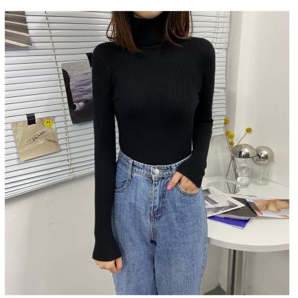 Women Turtleneck Sweaters Autumn Winter Korean Slim Pullover Women Basic Tops Casual Tops