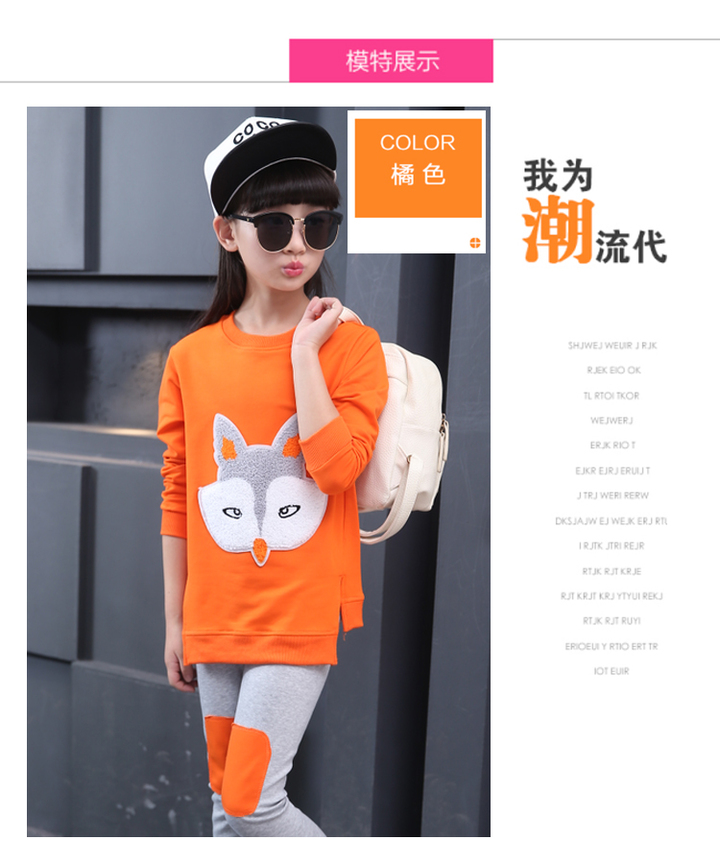 D-baby Hot 2-11y Autumn girls clothes sets Top+ Pants 2pcs/set full sleeve clothing active suits