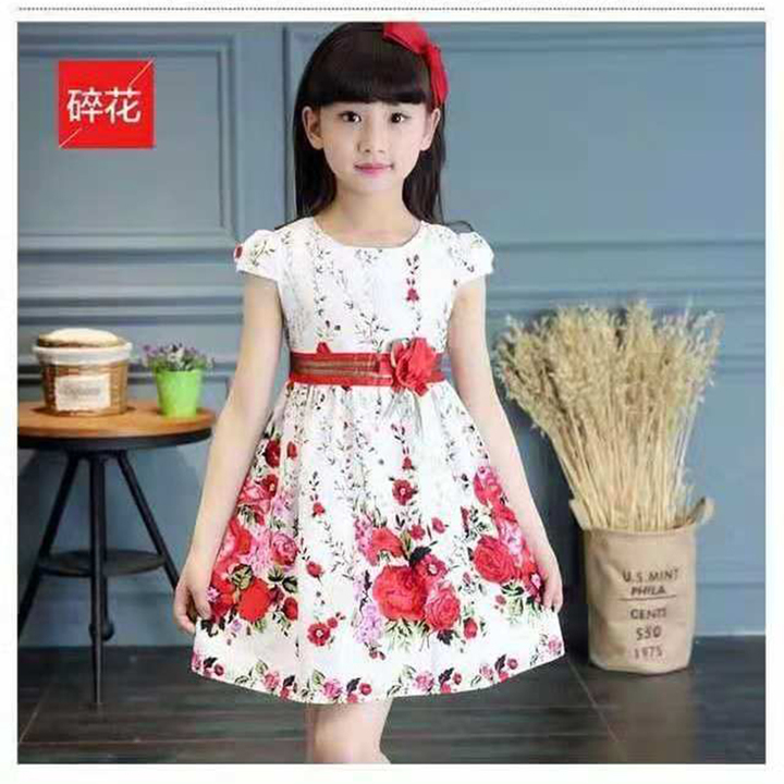D-baby 2-9y Girl elegant flower princess dress kids wedding dress party dress performance clothes