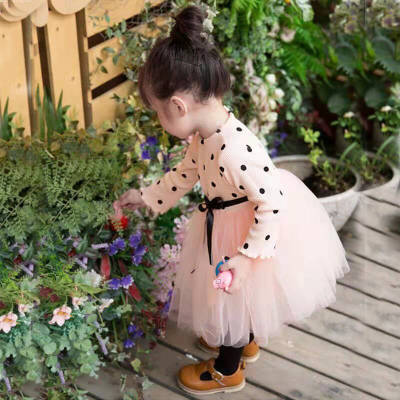 D-baby Autumn 1pc Kid Girls Princess Baby Dress Newborn Infant Baby Girl Clothes Bow Dot Tutu Dress