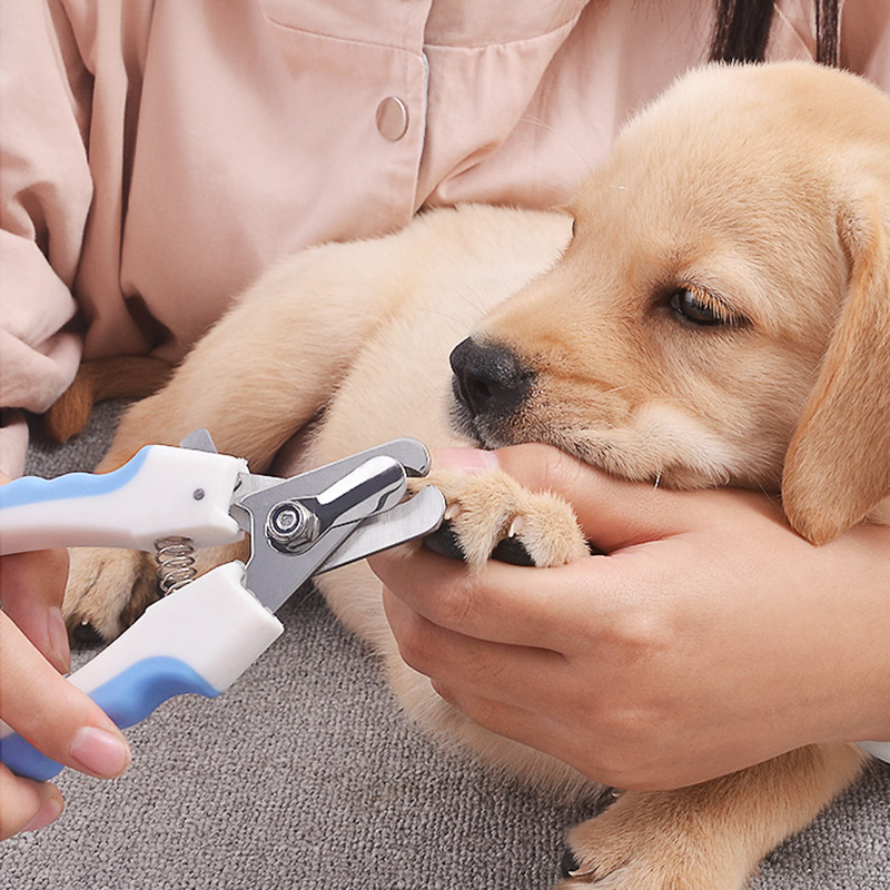 Pet Nail Clipper Scissors Pet Dog Cat Nail Toe Claw Clippers Scissors Trimmer Grooming Tools