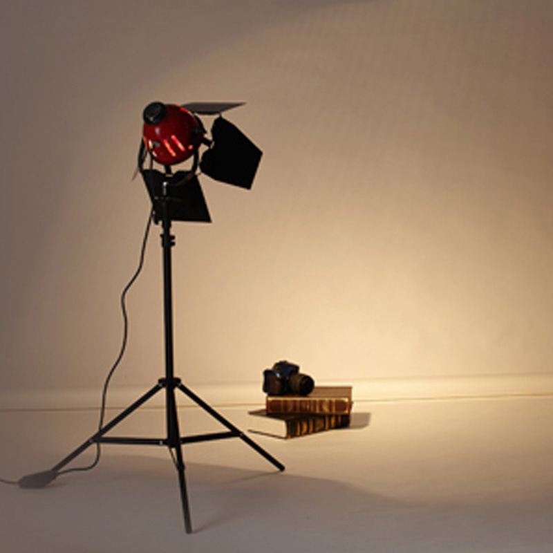 Redhead Light with Brightness Dimmer 800w For Filming Studio Lighting Studio Light Photography