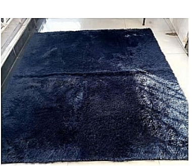 Soft Fluffy Carpet