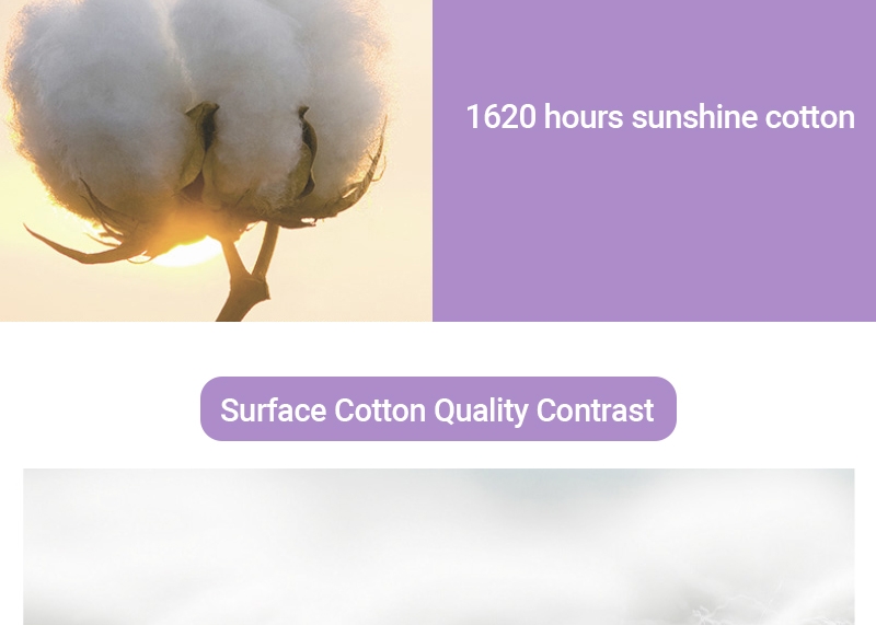 Softcare Sanitary Pad Breathable Cotton 285mm-10 Pads per Packet purple 4