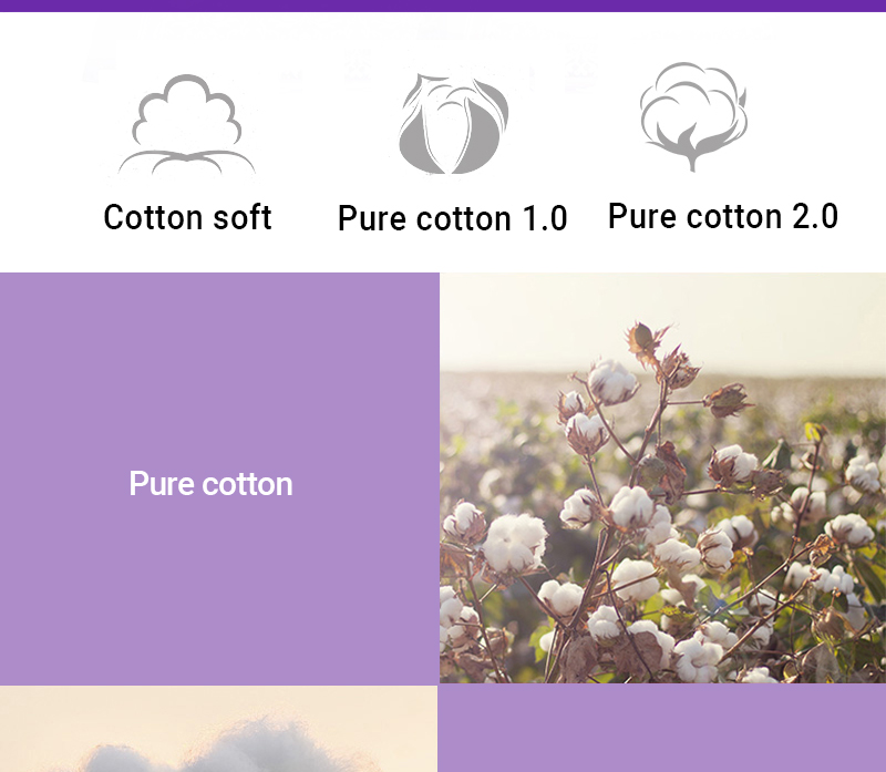 Softcare Sanitary Pad Breathable Cotton 285mm-10 Pads per Packet purple 3
