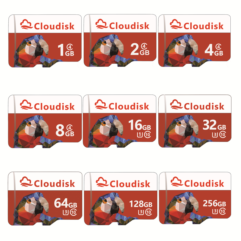 Cloudisk Micro SD Memory Card 128GB 64GB 32GB 16GB 8GB C10 4GB 2GB 1GB C4 1 Year Warranty Parrot