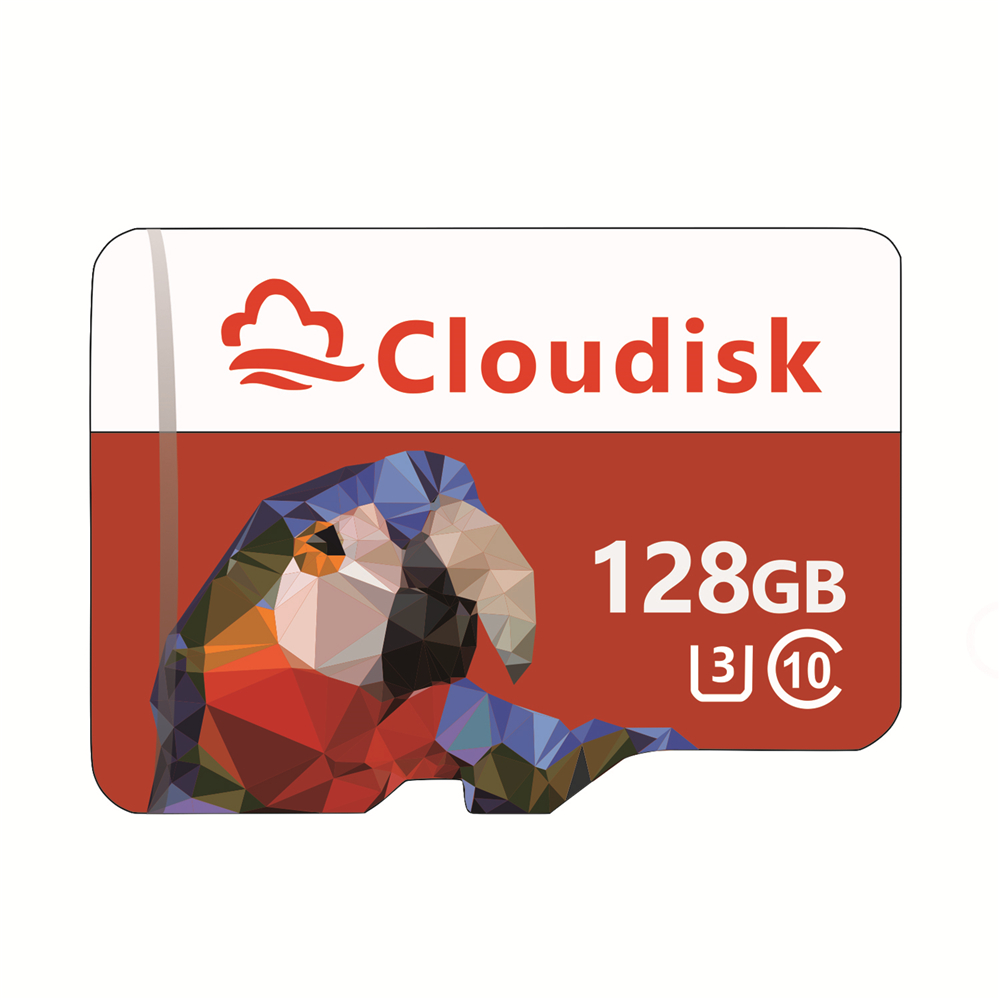 Cloudisk Micro SD Memory Card 128GB 64GB 32GB 16GB 8GB C10 4GB 2GB 1GB C4 1 Year Warranty Parrot