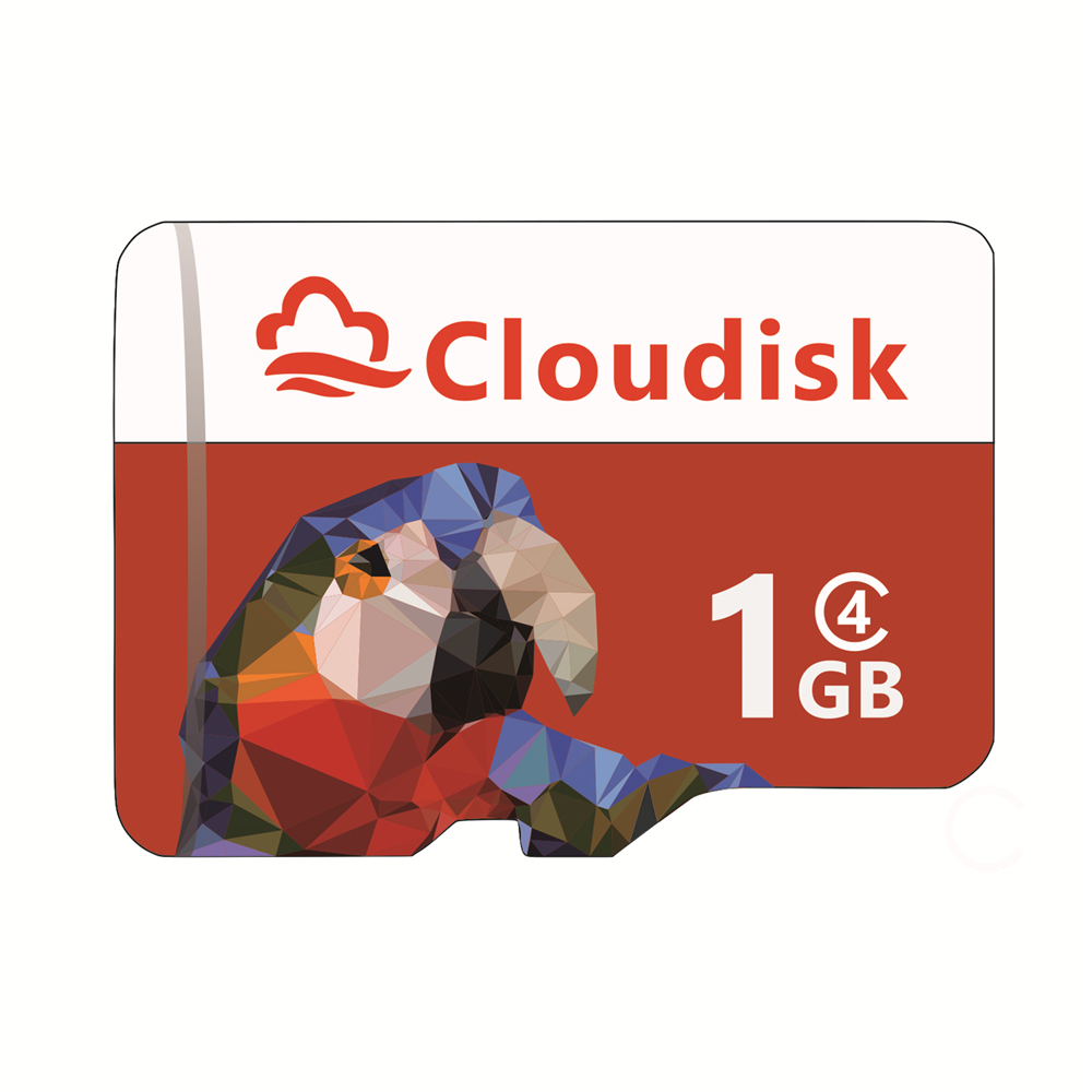 Cloudisk Micro SD Memory Card 128GB 64GB 32GB 16GB 8GB C10 4GB 2GB 1GB C4 1 Year Warranty Parrot