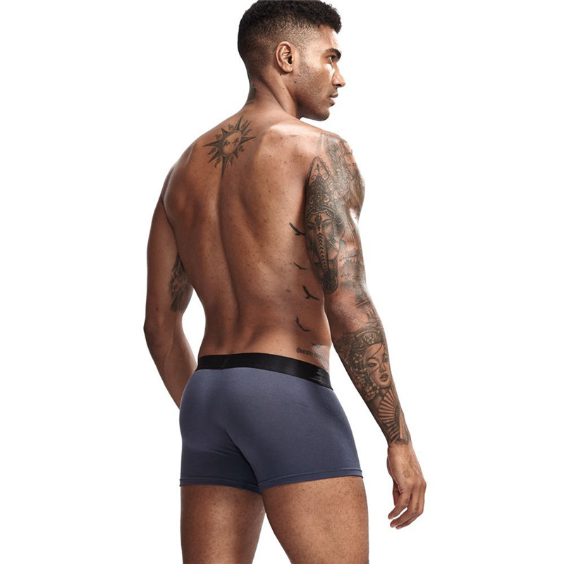 New Strong Mens Boxer Shorts Modal Soft Underwear Micro Separate Pouches Health Care Boxerbriefs