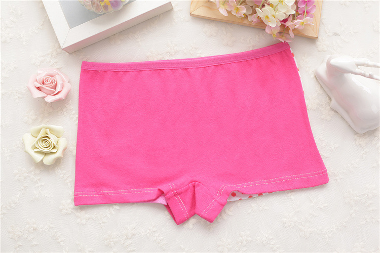 4Pcs/lot Girls Underwear Cotton Panties For Kids Short Briefs Cartoon Children Underpants 1-9 Yrs