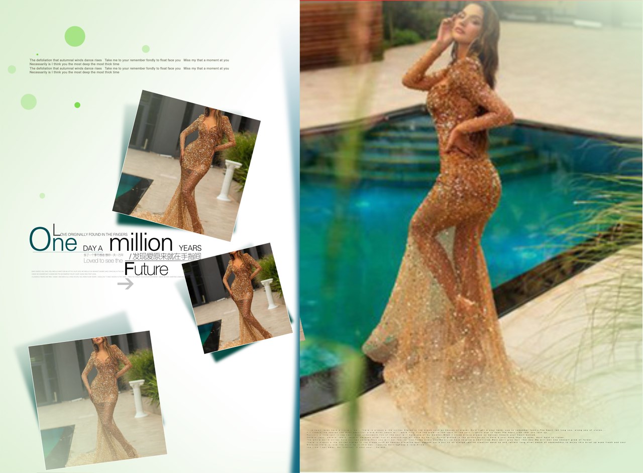 Sexy Long Tail  Evening Dress High V Neck Squins See-through Skirt Lady Red Carpet Concert Dress