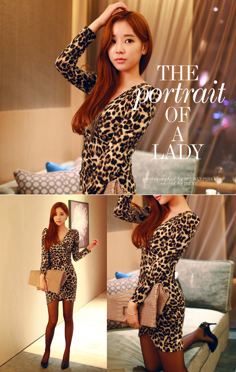 New Leopard Print Women&apos;s Sexy Slim Dress Party One Piece Dress Long Slim V-Neck long sleeve Dress