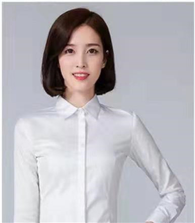 Fashion Women Spring Summer Shirt Long Sleeve Formal Tops Office Lady Slim Casual Shirt Tops