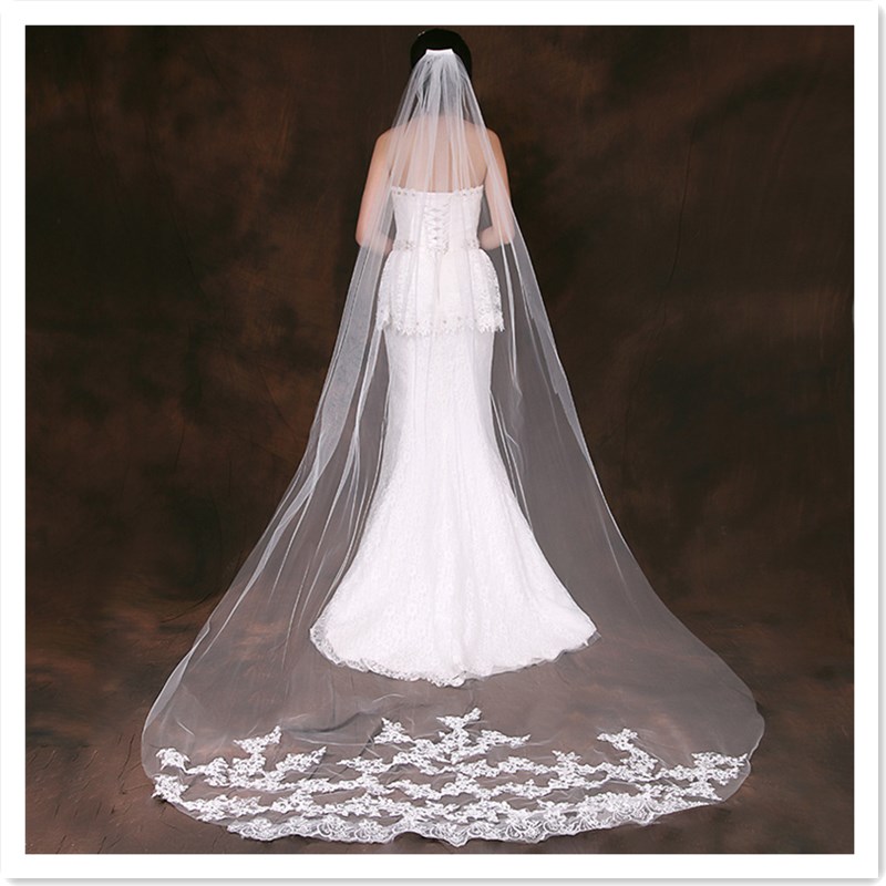 European & American Wedding Party Long Tail Headdress Bridal Embroidered Lace Wedding Veil Photo Taking Hair Dress