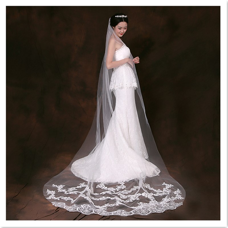 European & American Wedding Party Long Tail Headdress Bridal Embroidered Lace Wedding Veil Photo Taking Hair Dress