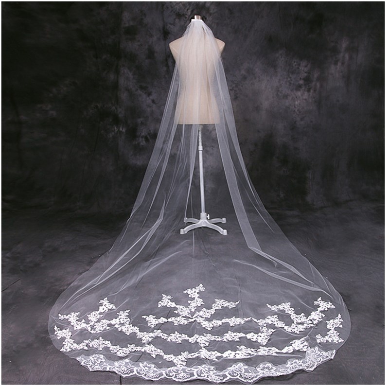 European & American Wedding Party Long Tail Headdress Bridal Embroidered Lace Wedding Veil Photo Taking Hair Dress