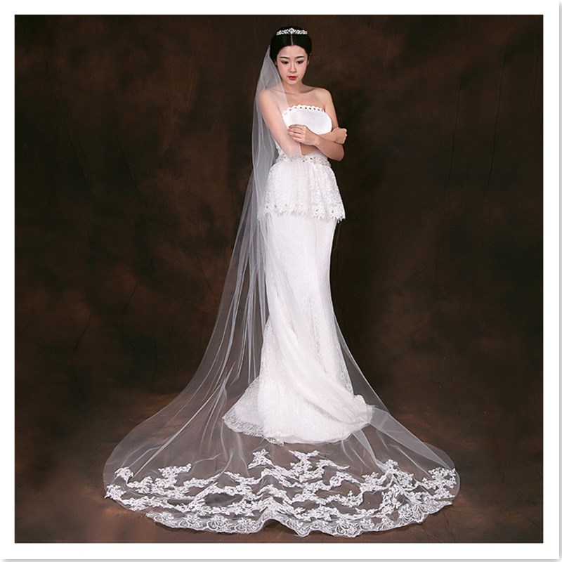 European & American Wedding Party Long Tail Headdress Bridal Embroidered Lace Wedding Veil Photo Taking Hair Dress