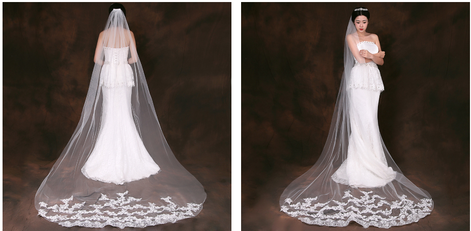 European & American Wedding Party Long Tail Headdress Bridal Embroidered Lace Wedding Veil Photo Taking Hair Dress