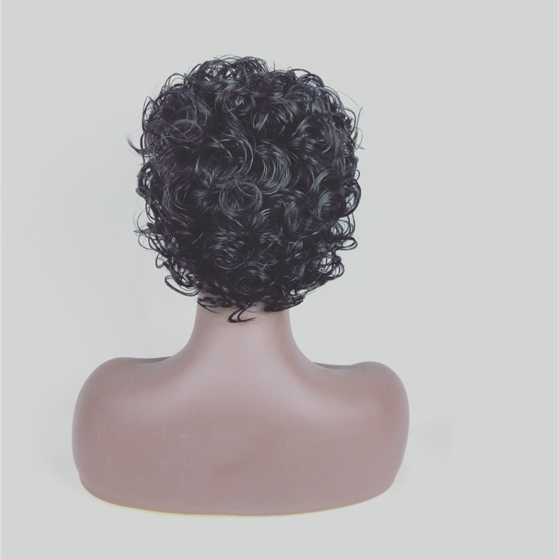Short Wigs Little Curly Hair For Women Wigs Fiber Synthetic Party Wigs Charming Kilimall Kenya 5th