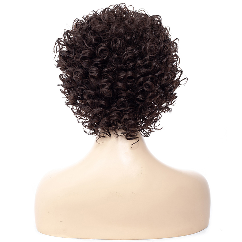 14inch Curly Wigs for Women Short Fashion Wigs Synthetic Hair Wigs