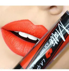 L.A. Colors Matte Flat Pigment Lip Gloss GLG840 Instinct