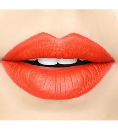 L.A. Colors Matte Flat Pigment Lip Gloss GLG840 Instinct