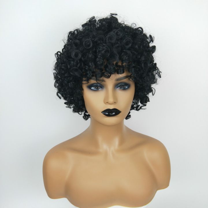 European and American Fashion Ladies Short Curly Wig African Black Hair Wigs For Women black as picture 14