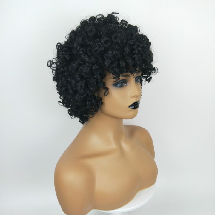 European and American Fashion Ladies Short Curly Wig African Black Hair Wigs For Women black as picture 15