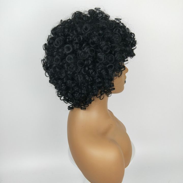 European and American Fashion Ladies Short Curly Wig African Black Hair Wigs For Women black as picture 17